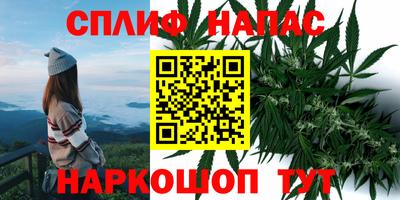 гашишное масло Нальчик
